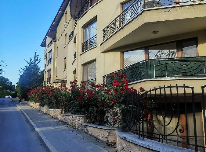 Luxury Amalfi 300 M From The