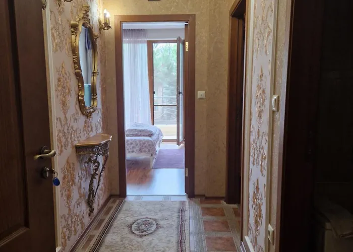 Luxury Amalfi 300 M From The Varna